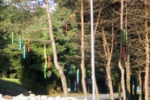 ???????????????????????????????