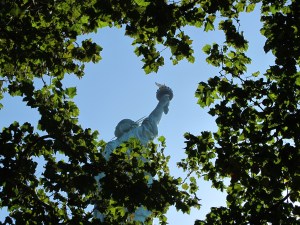 IMG_5472
