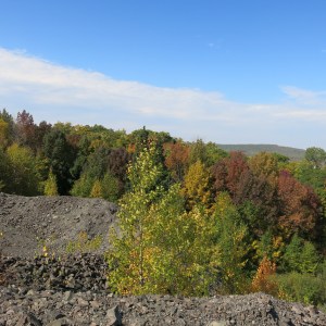 IMG_0997