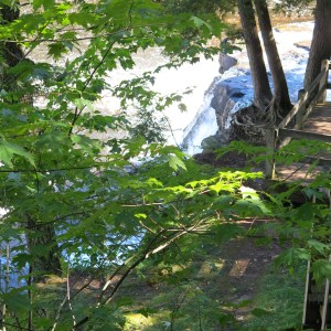 ???????????????????????????????