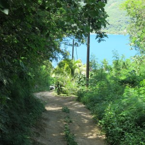 Our bumpy road