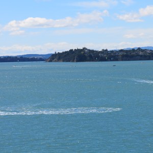 Kite surfers near shore - green kites.