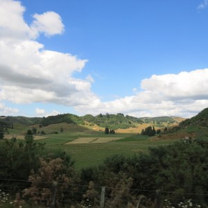 IMG_1724