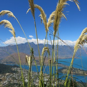 IMG_2104