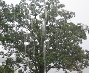 Rain coming off the roof