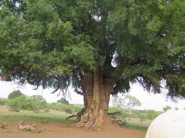 5E36C0D6-928E-4170-92C0-F7C205280DC2