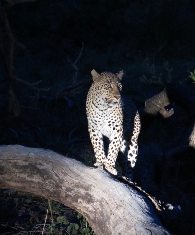 7606D3A7-A1DC-4399-8DD5-77A5757B3BA3