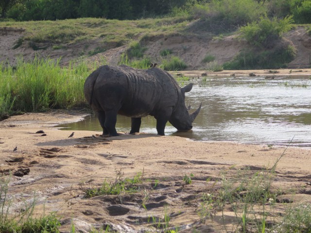 E14DA413-99C2-48C8-97E2-26C23C60AE8B