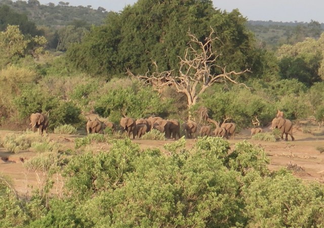 1E030EA9-FF9C-41C8-951E-EA7BBA6E297B