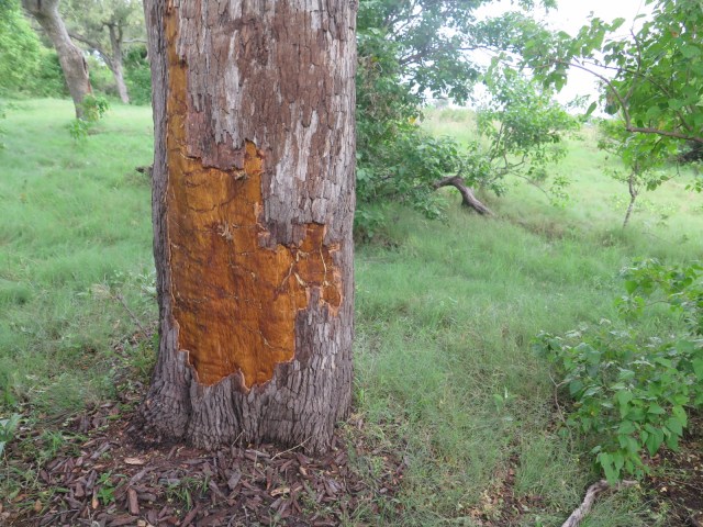 34291FF1-8F2C-457A-BEDA-5D0F6B5546DD