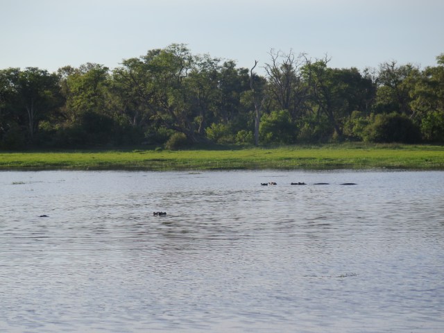 5DD6CBA9-4366-4414-87BC-666F4B058A39