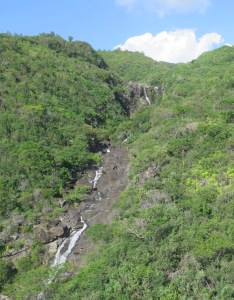 9707C37B-CF06-4AFD-953B-D2D495095007