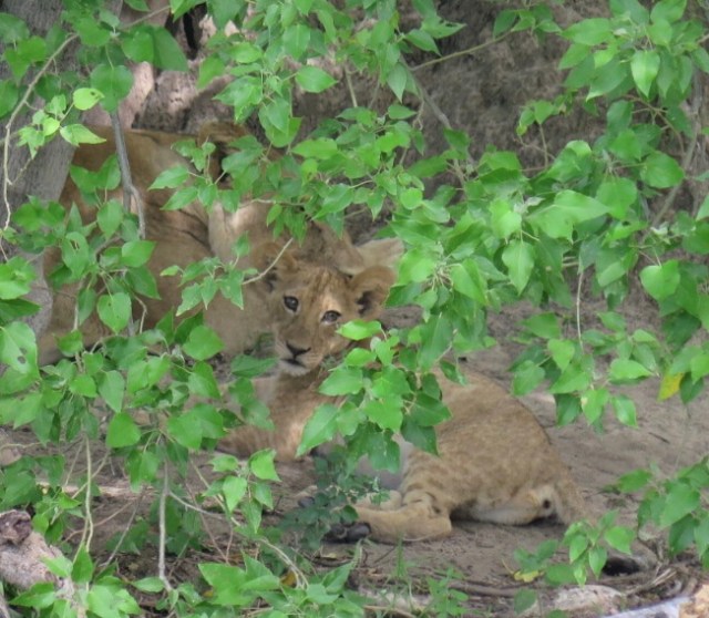 A9BEADF8-D557-425C-922A-7ECACDFBD579