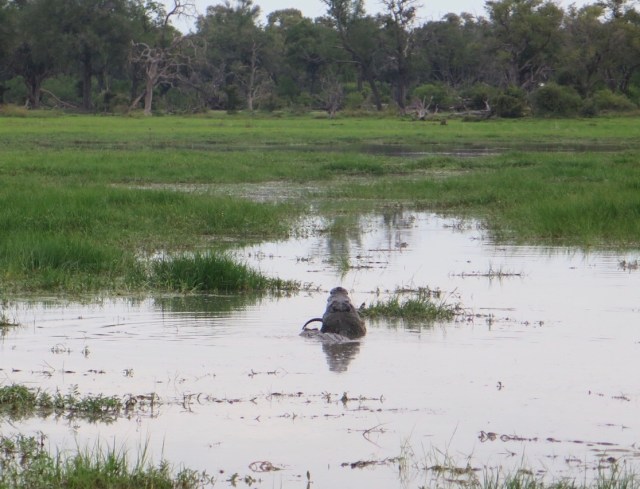 B34B9180-A517-4131-ABFC-56F5CE94D258