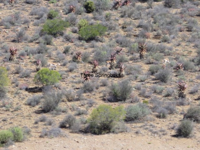 C6FE4D98-29E3-4022-9183-CF0ED580C7A8