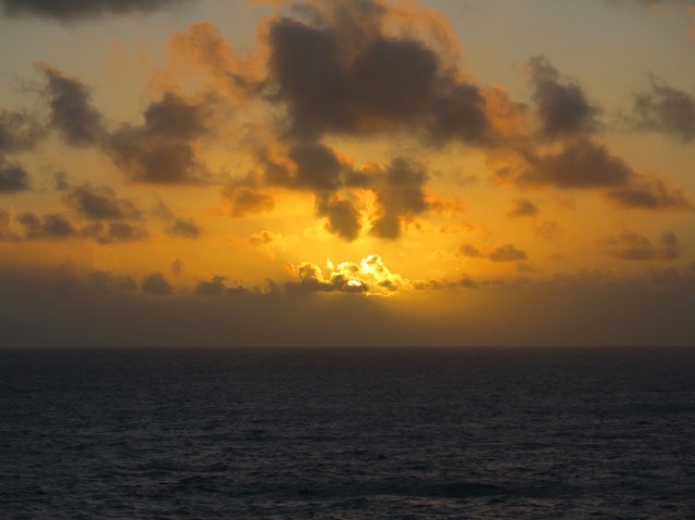 D60D26CA-2B8C-4E97-A5F9-A6512B9A2287