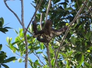 f42ab5ba-7fe5-429c-bed9-d452817349cf