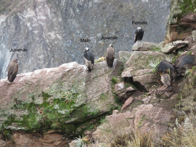 00142902-0643-44AE-889F-C742EB6B1A31