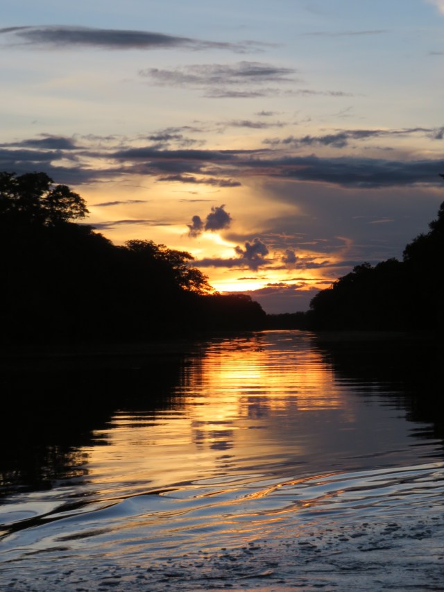 6AE3B309-0440-4312-BF4D-3C63D5B5A793