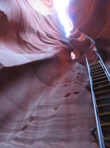 9E9643D1-A3C7-493A-9605-3BD498CA5151